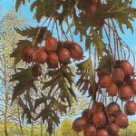 2000 - Meidoornappeltjes Nijenhuis